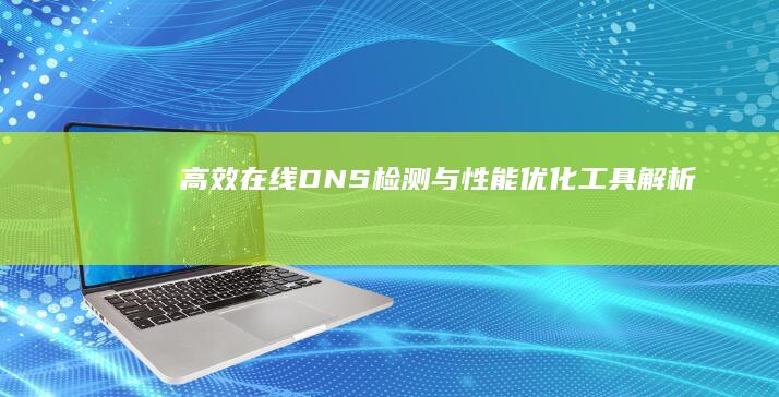 高效在线DNS检测与性能优化工具解析